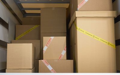 Como é possível melhorar a gestão de transporte na empresa?